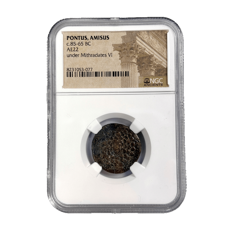 Amisos Greek bronze coin featuring Medusa, struck under Mithradates VI, in NGC slab